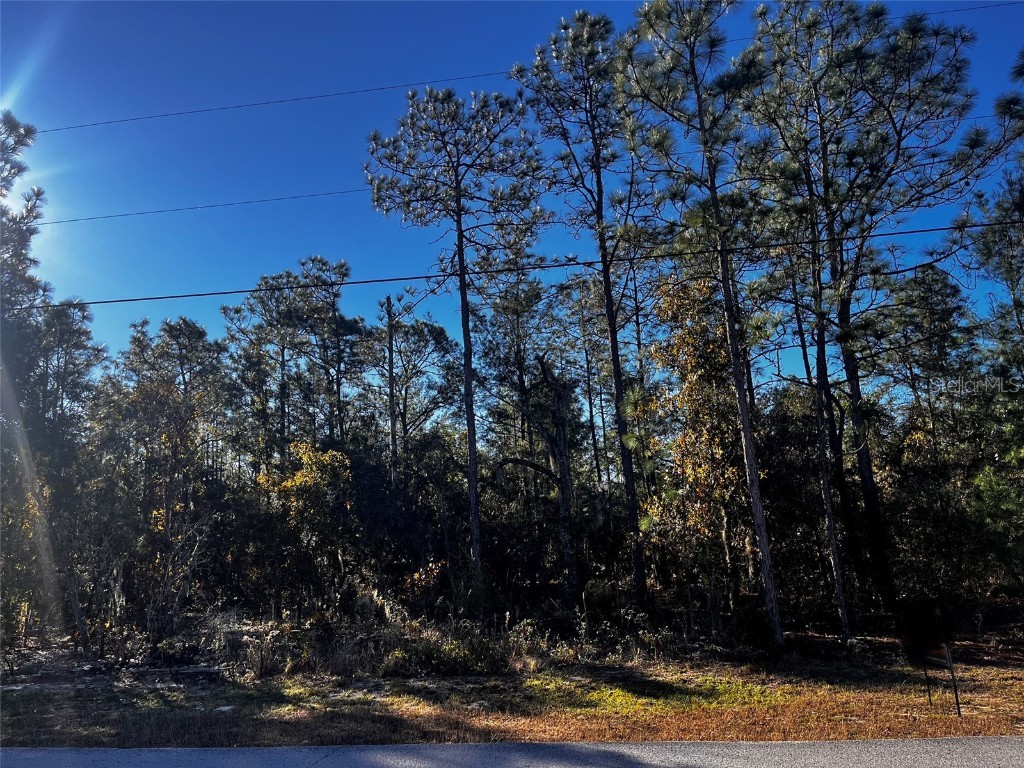 1522 E Cleveland Street Hernando FL 34442 O6159712 image1