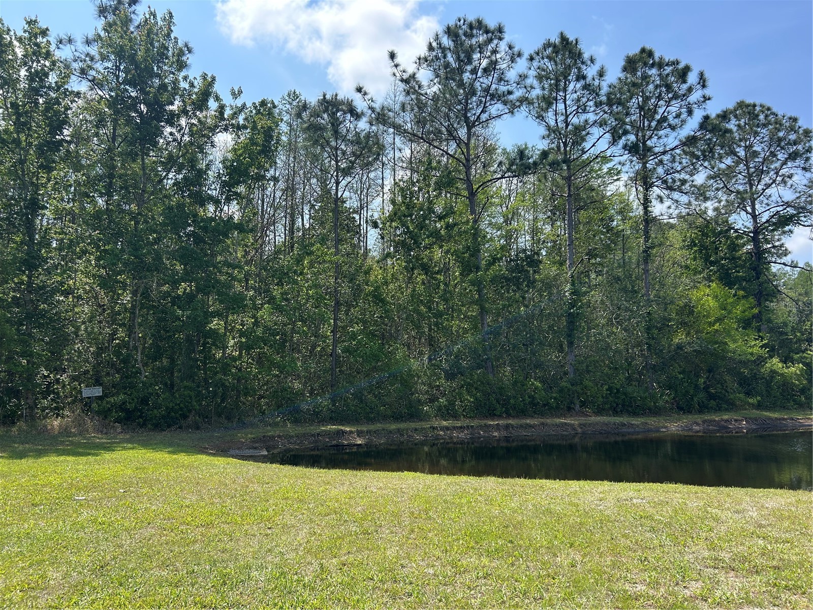 1522 Haverhill Drive New Port Richey FL 34655 TB8490429 image10