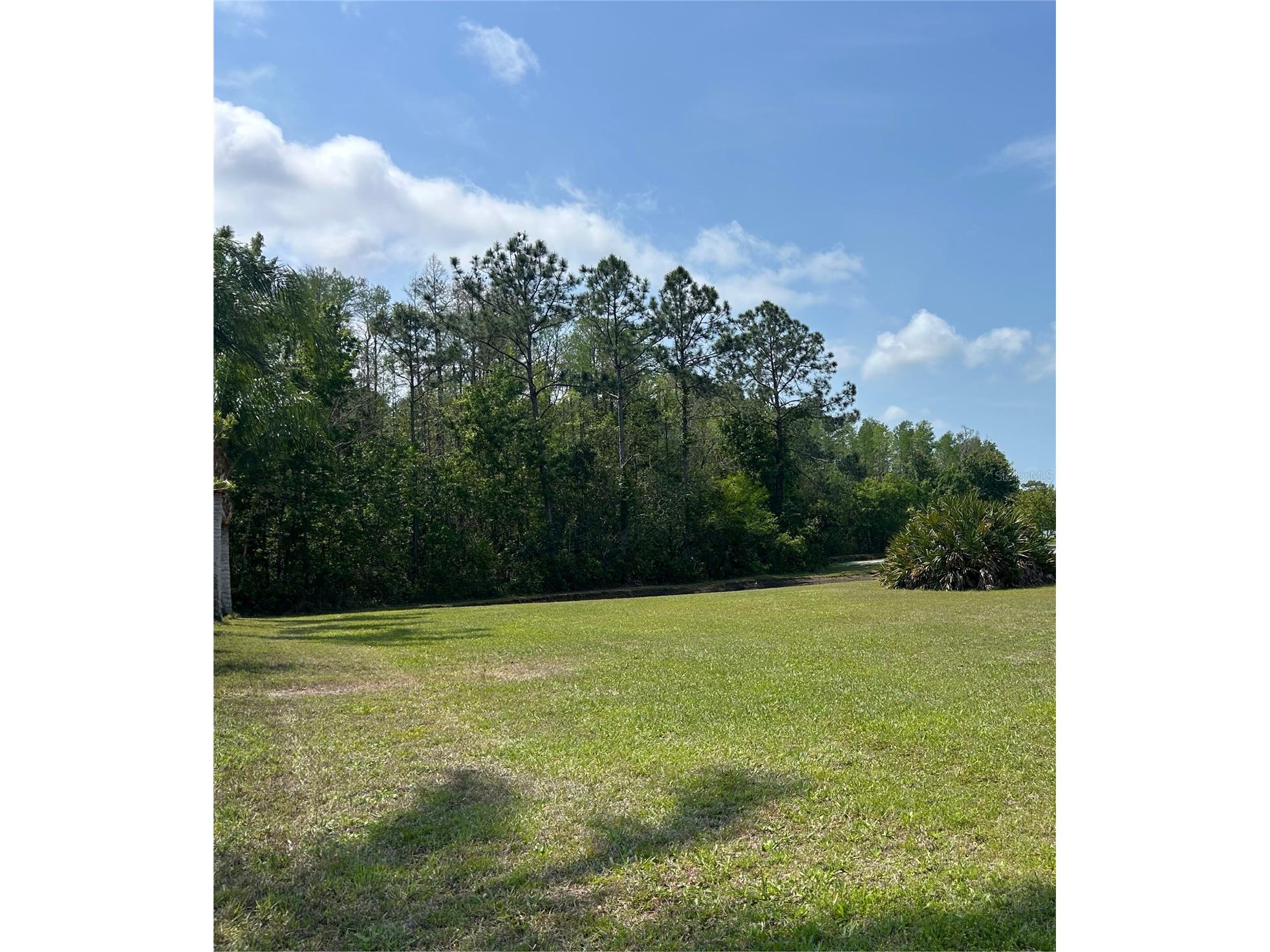 1522 Haverhill Drive New Port Richey FL 34655 TB8490429 image12