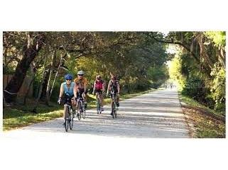 1522 Haverhill Drive New Port Richey FL 34655 TB8490429 image13