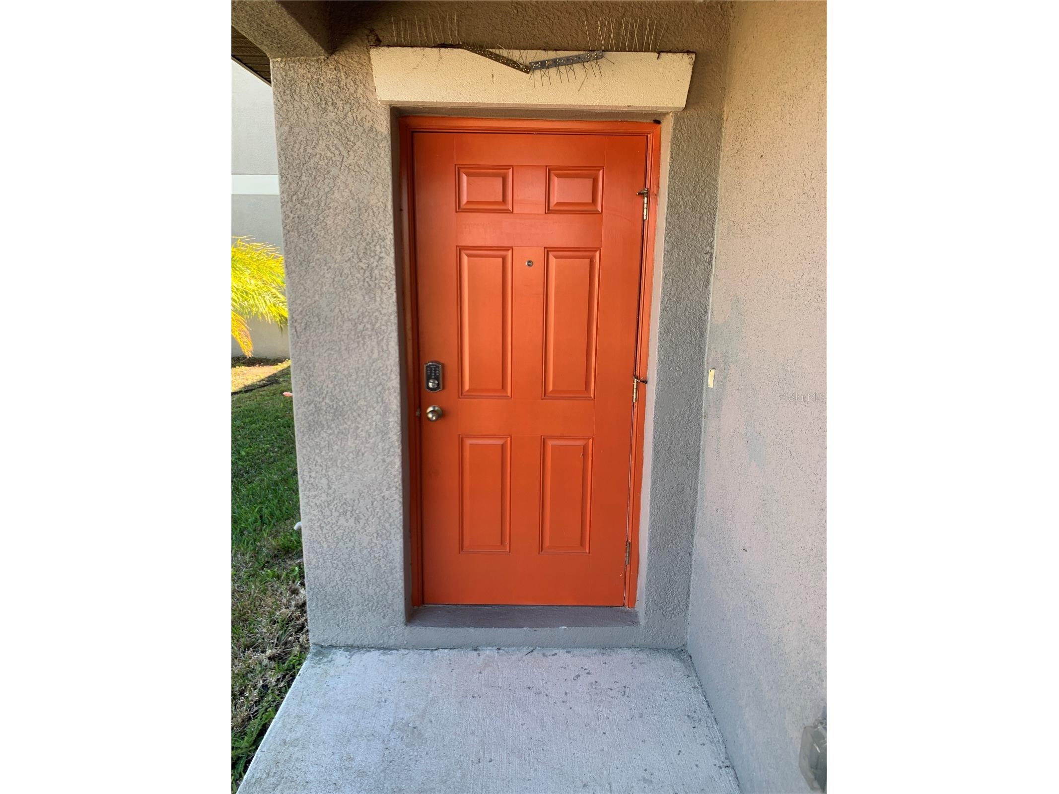 1522 Tiger Tooth Place Ruskin FL 33570 TB8488973 image5