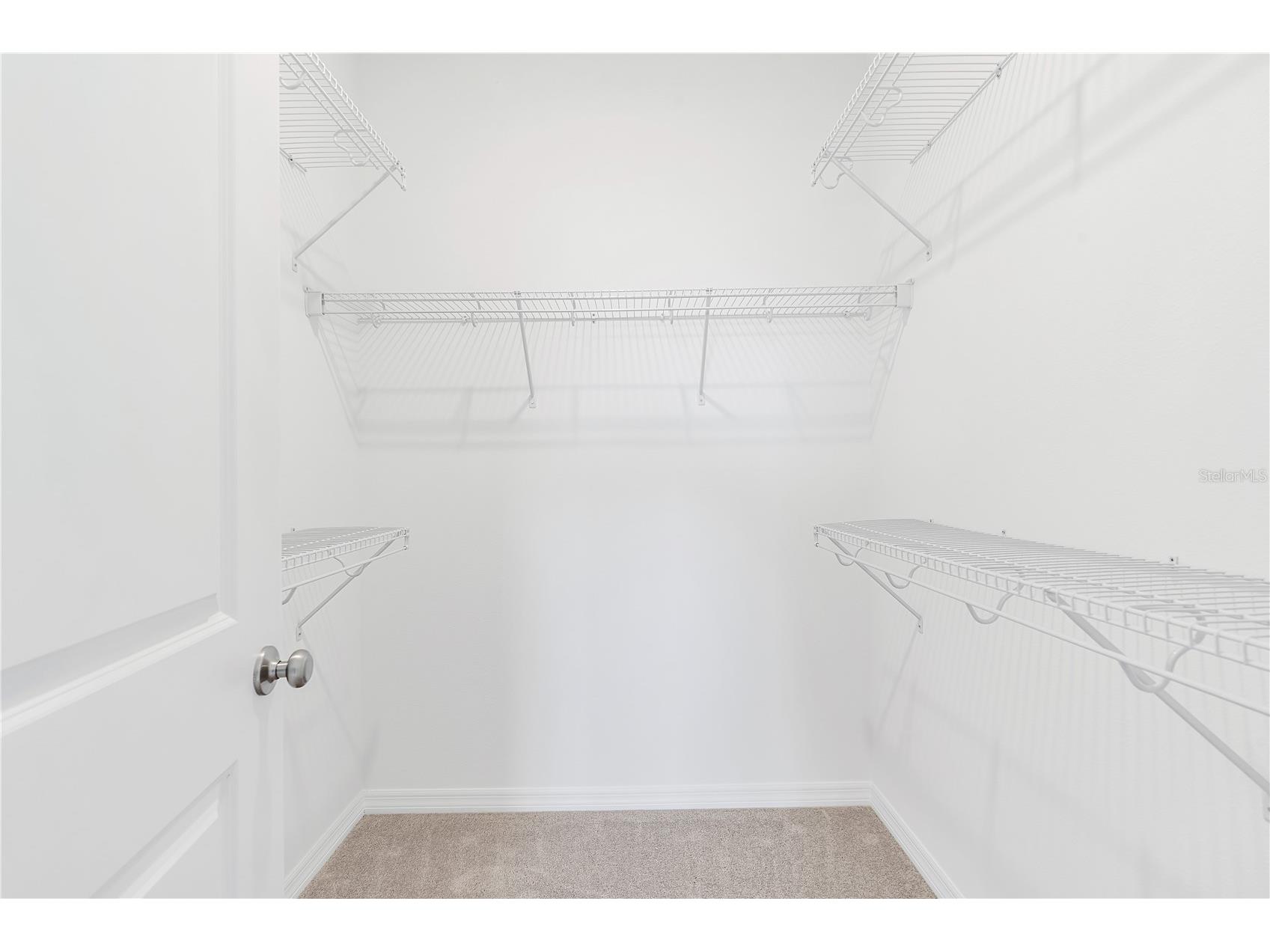 15220 Blue Peacock Lane Winter Garden FL 34787 O6381797 image15