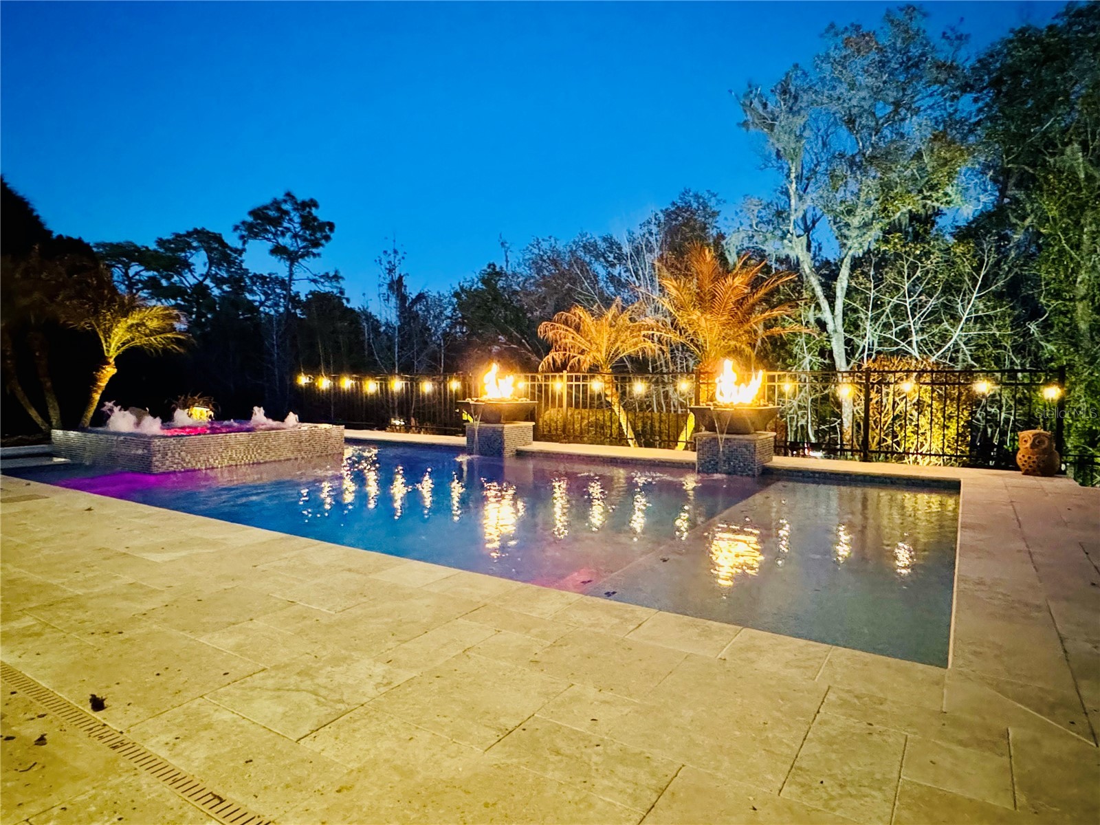 15220 Fishhawk Preserve Drive Lithia FL 33547 TB8465943 image23