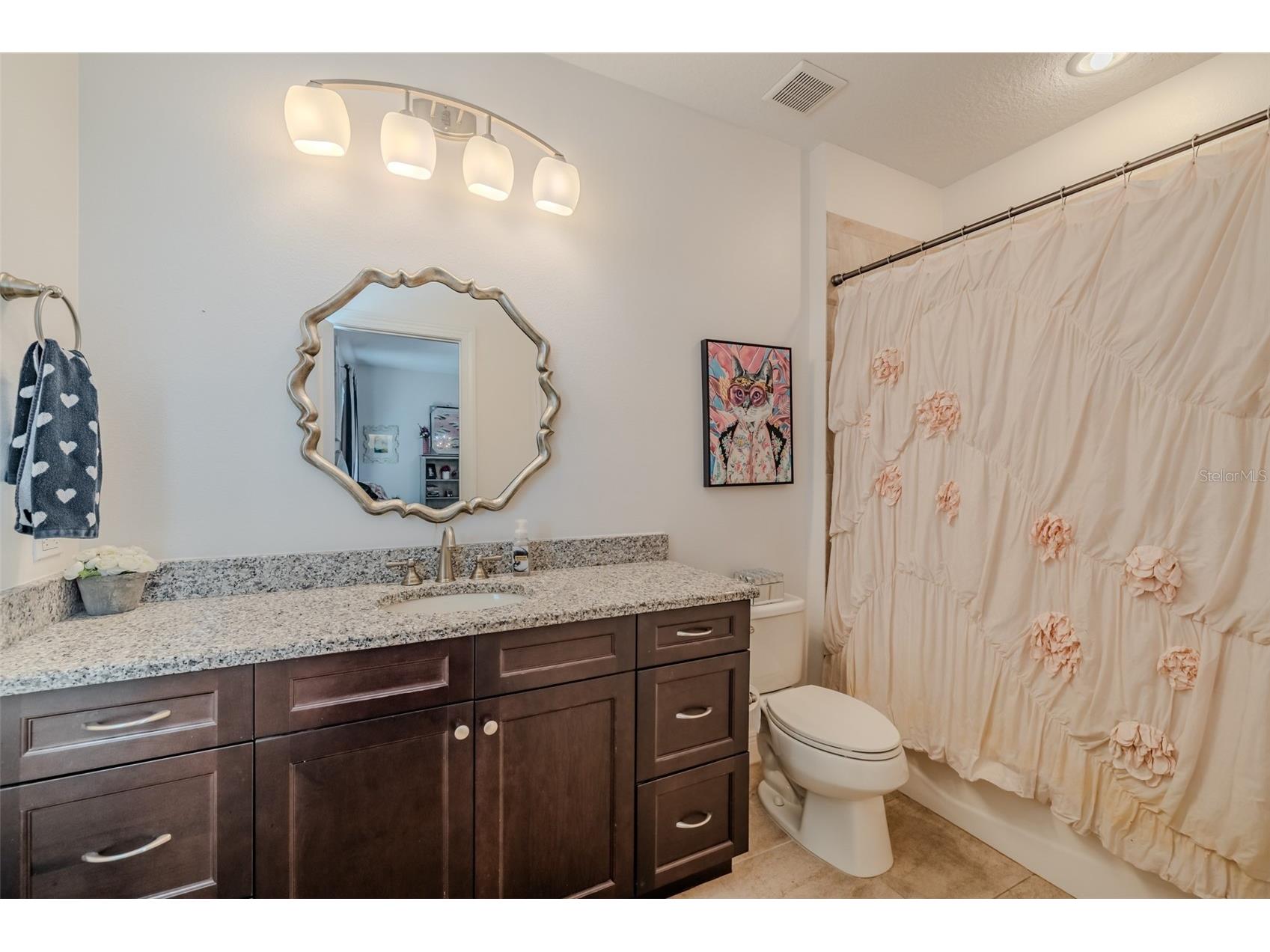 15220 Fishhawk Preserve Drive Lithia FL 33547 TB8465943 image34