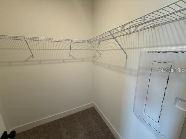 15220 Groveside Road Winter Garden FL 34787 O6396417 image20