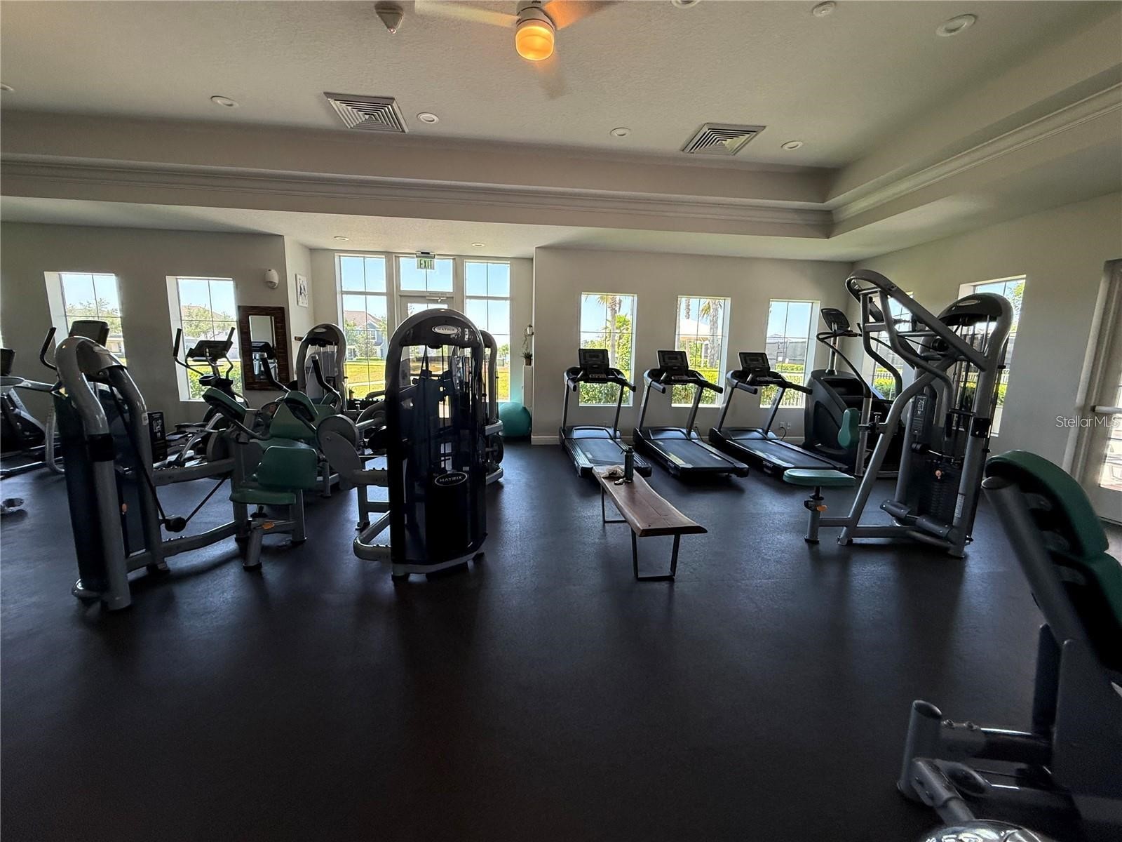 15221 Sunrise Grove Court Winter Garden FL 34787 S5146801 image28