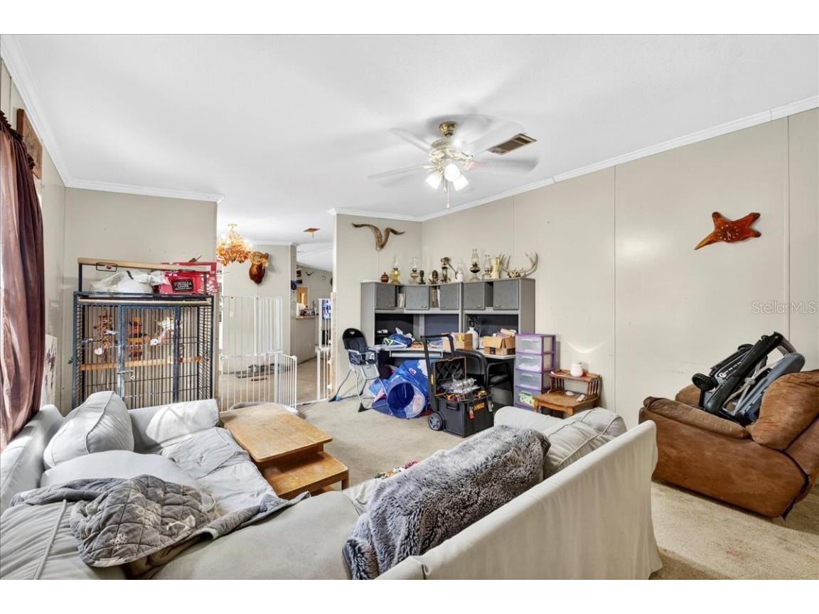 15222 Lost Lake Lane Lithia FL 33547 TB8446377 image51