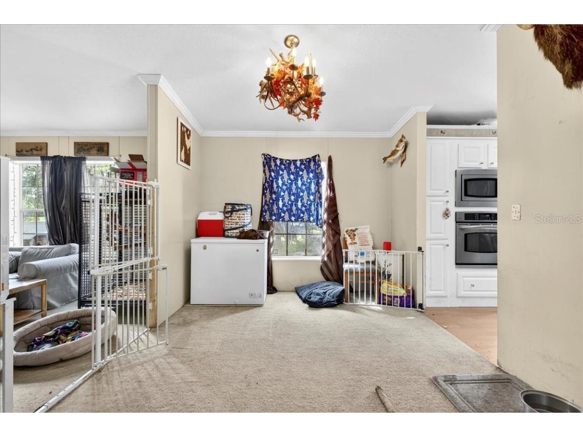 15222 Lost Lake Lane Lithia FL 33547 TB8446377 image52