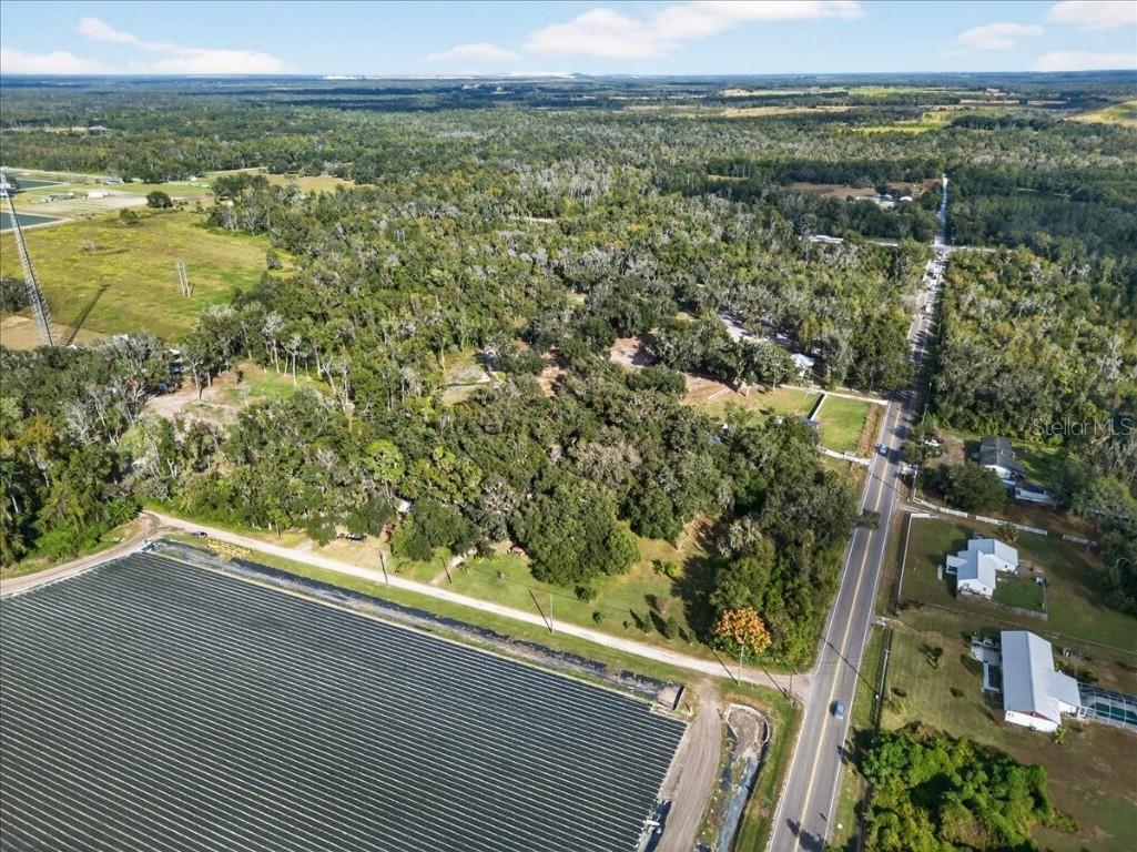 15222 Lost Lake Lane Lithia FL 33547 TB8446377 image64