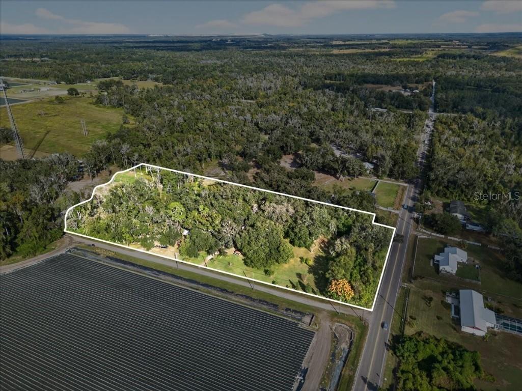 15222 Lost Lake Lane Lithia FL 33547 TB8446377 image69