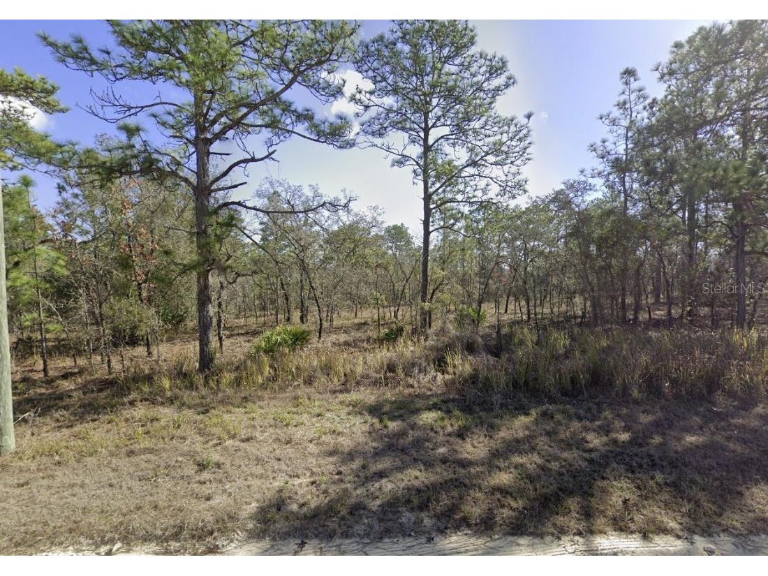 15222 Wine Drive Weeki Wachee FL 34614 OK225596 image1