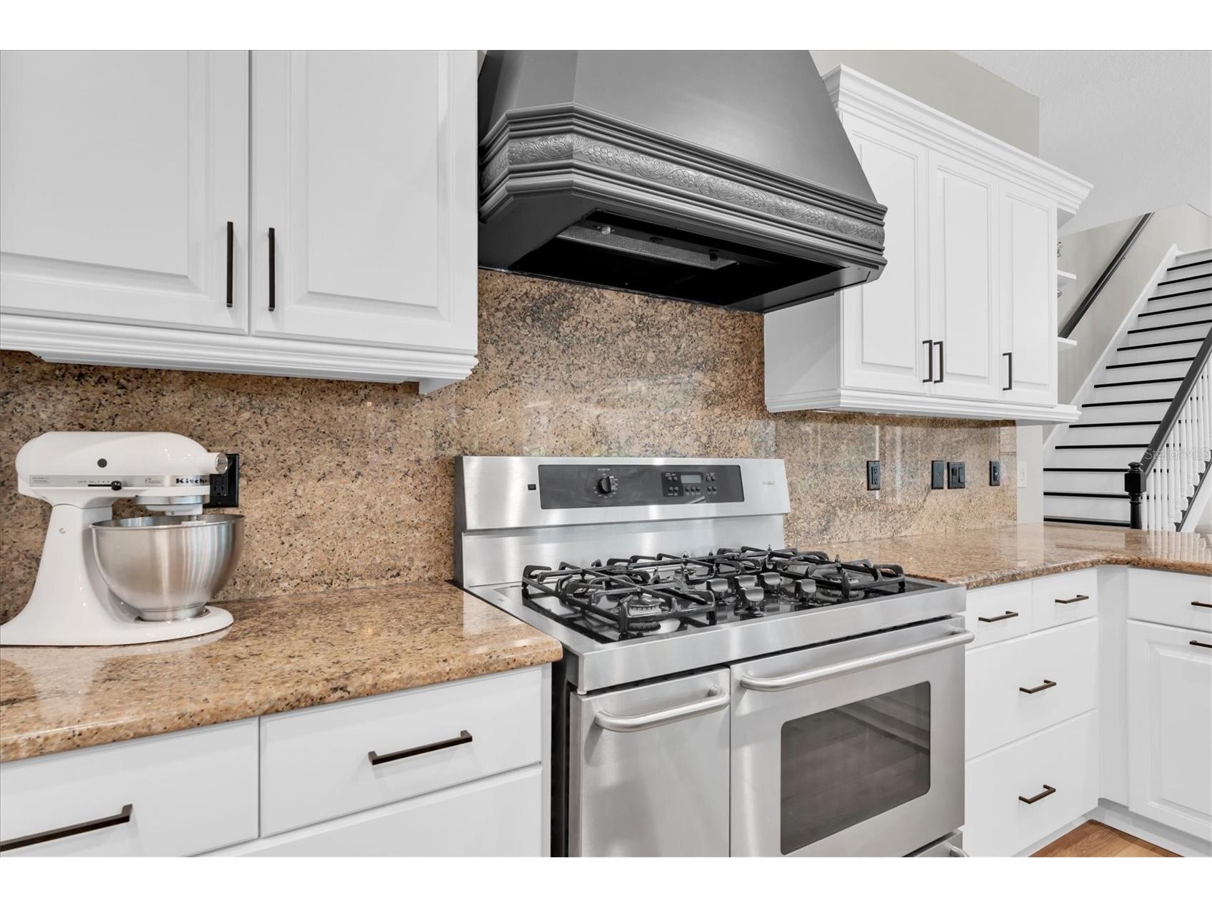 15223 Wind Whisper Drive Odessa FL 33556 W7885894 image13