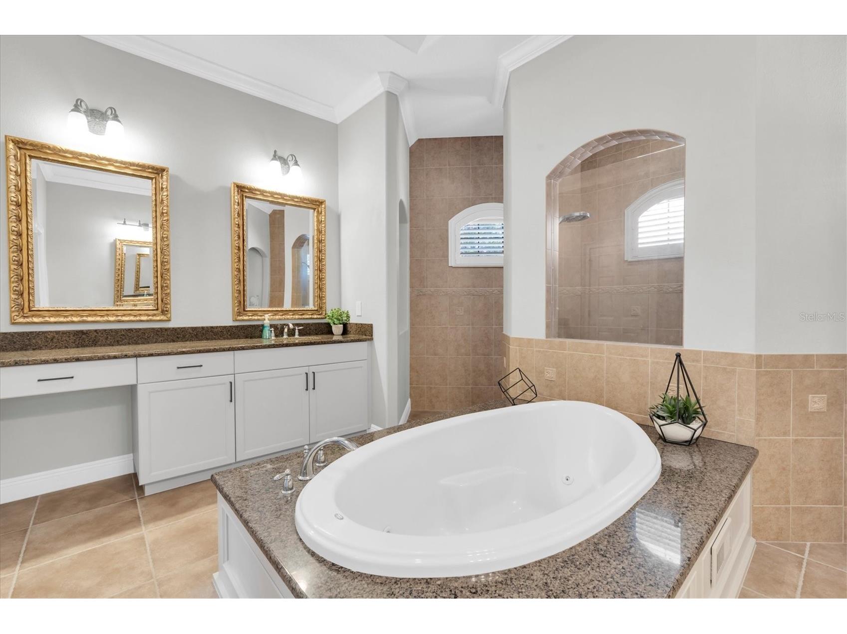 15223 Wind Whisper Drive Odessa FL 33556 W7885894 image23