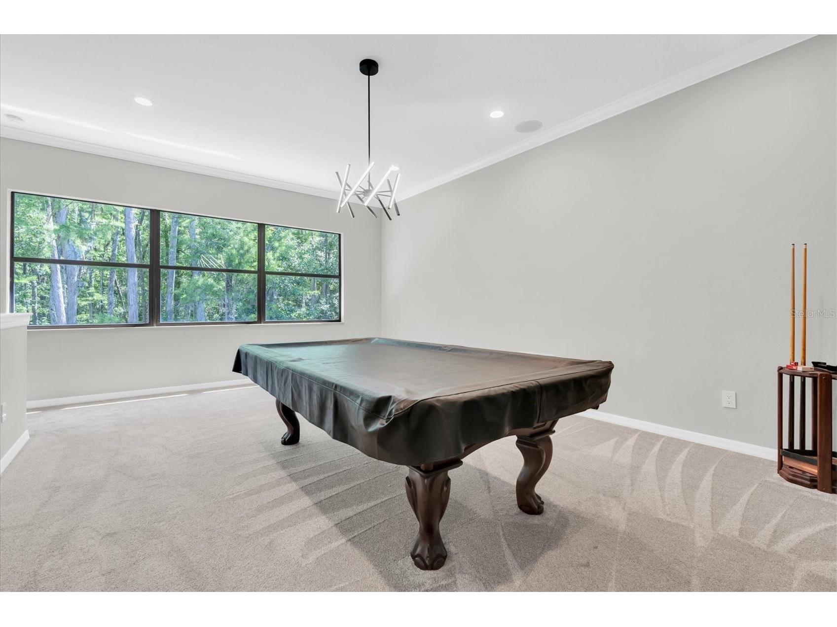 15223 Wind Whisper Drive Odessa FL 33556 W7885894 image34