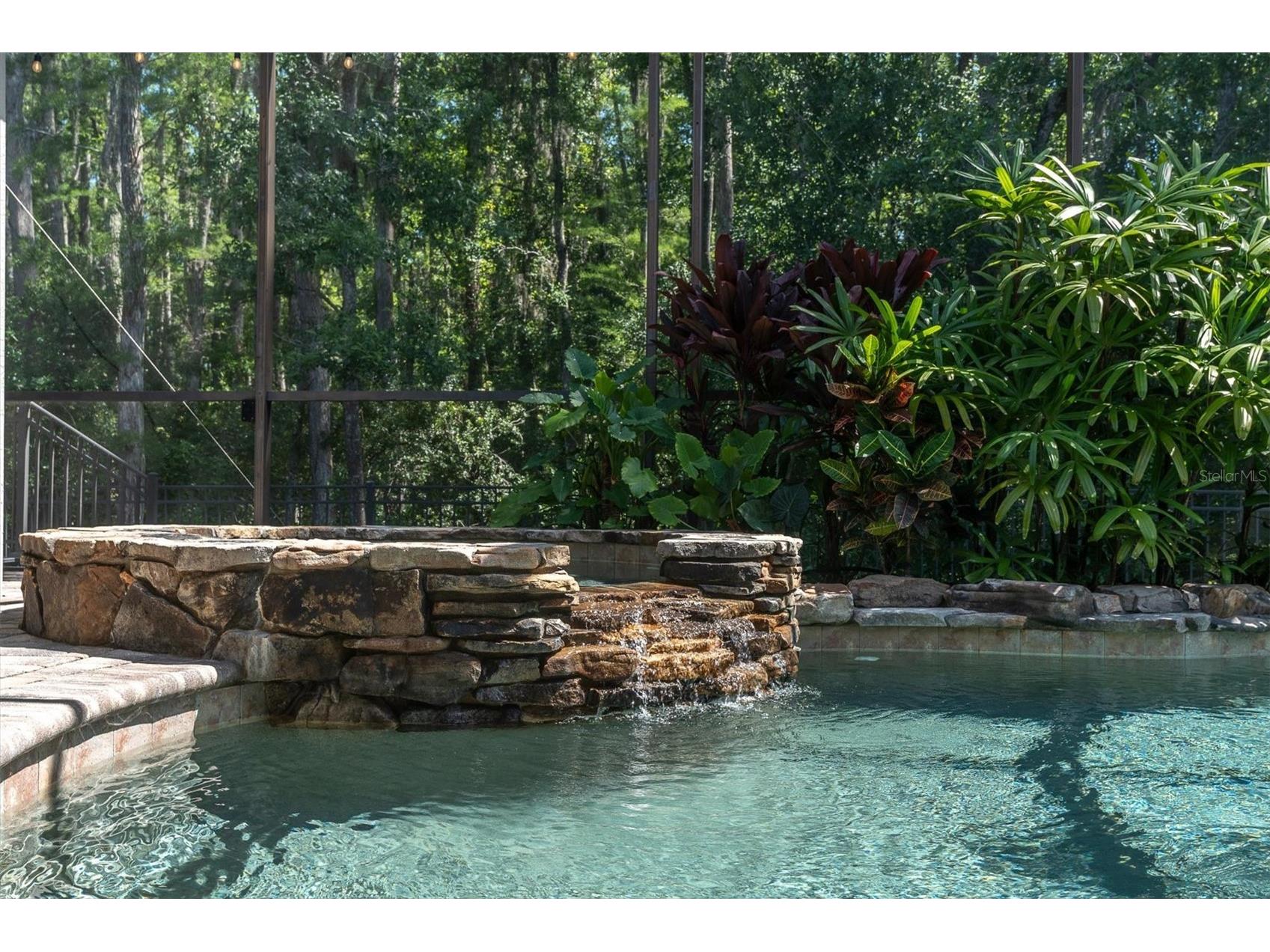 15223 Wind Whisper Drive Odessa FL 33556 W7885894 image40
