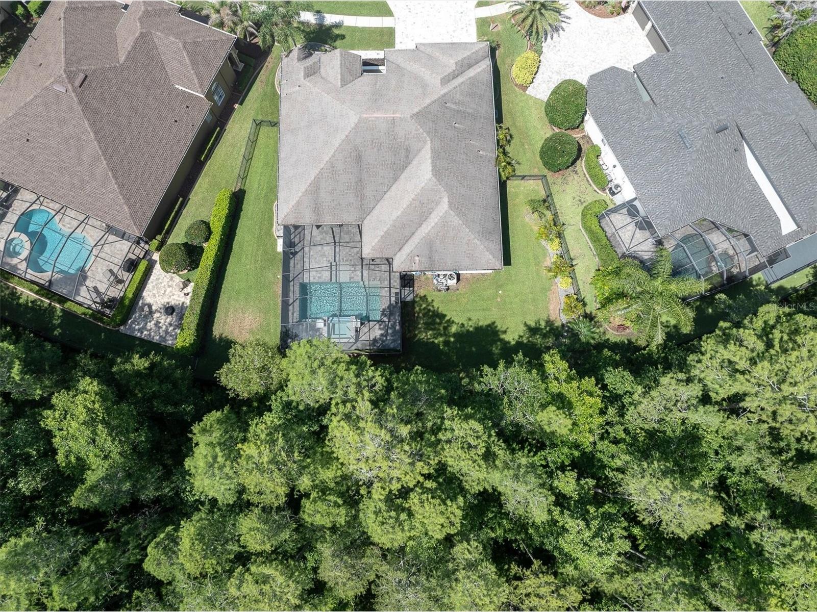15223 Wind Whisper Drive Odessa FL 33556 W7885894 image52