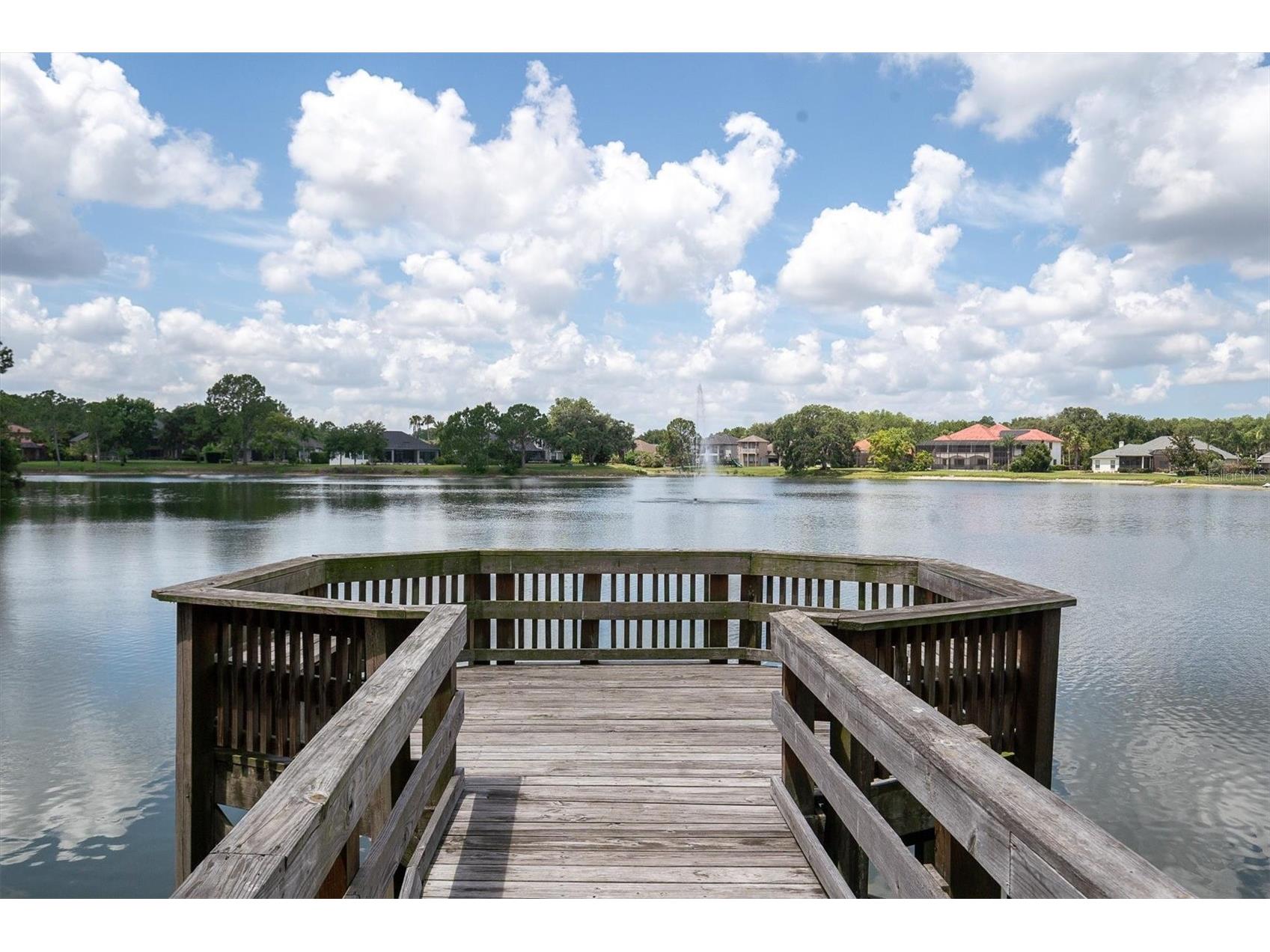 15223 Wind Whisper Drive Odessa FL 33556 W7885894 image53