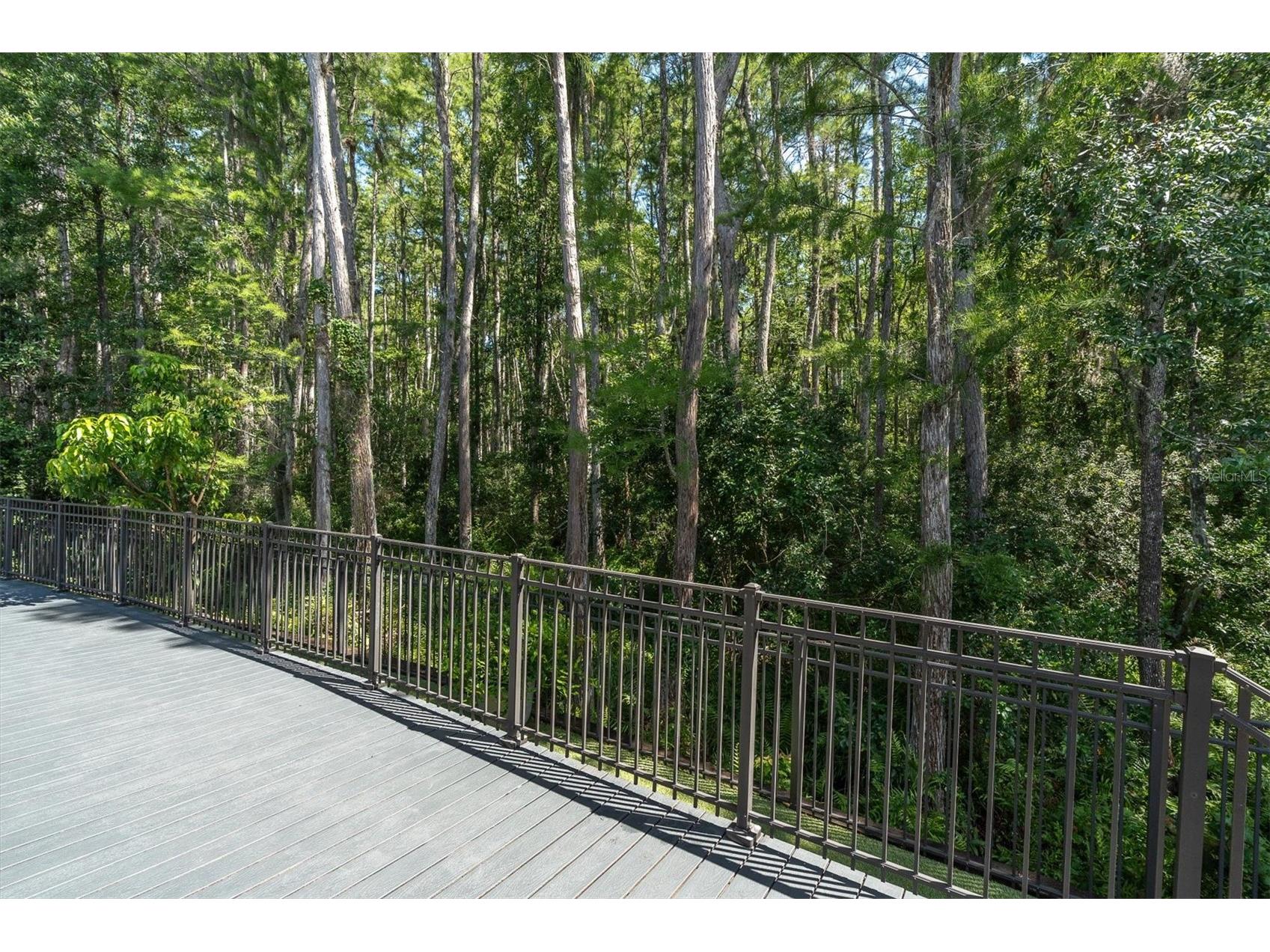 15223 Wind Whisper Drive Odessa FL 33556 W7885894 image54