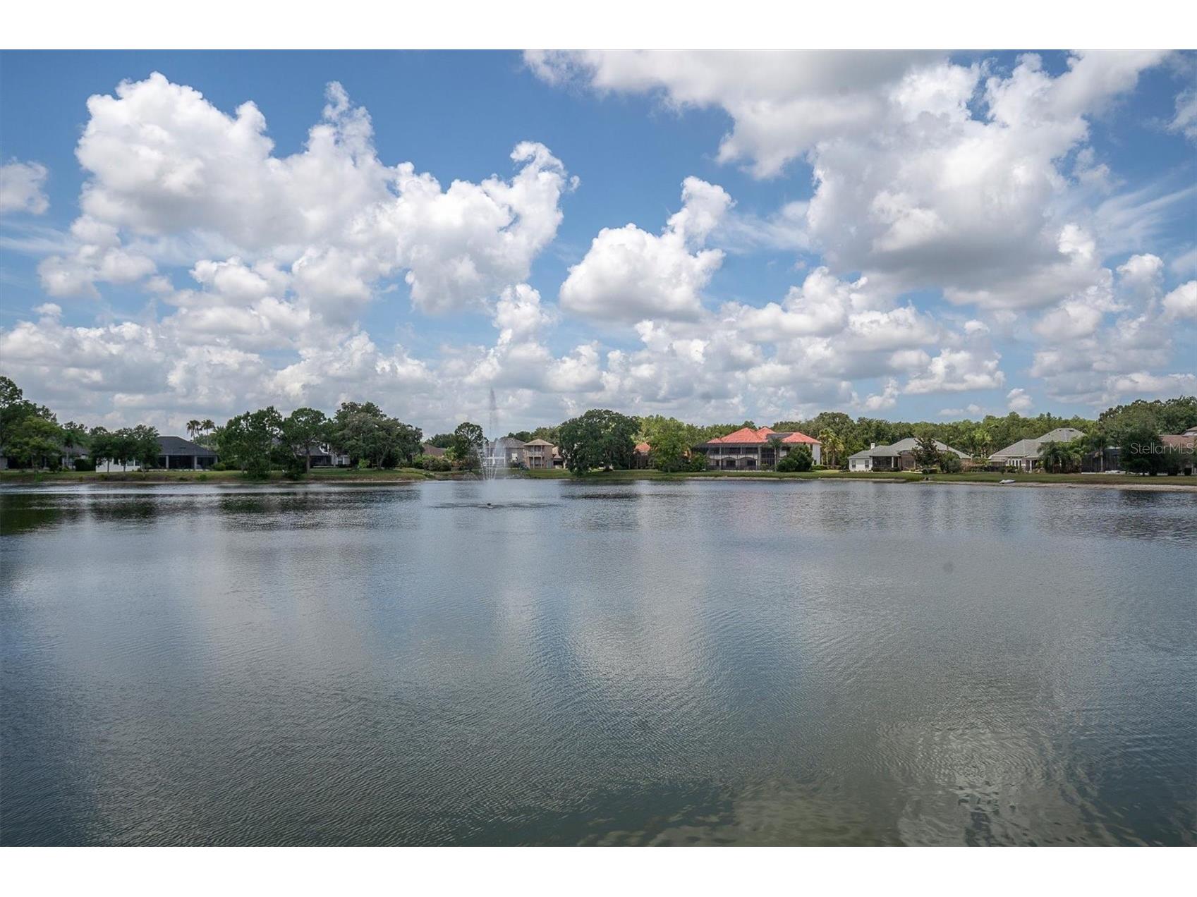 15223 Wind Whisper Drive Odessa FL 33556 W7885894 image55