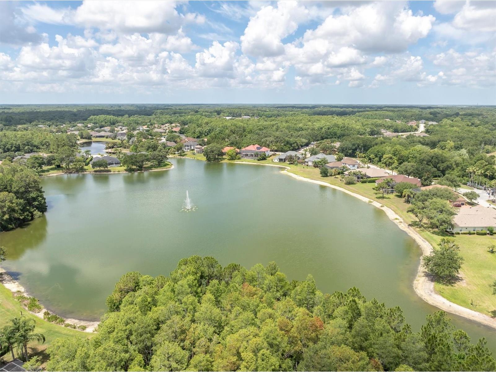 15223 Wind Whisper Drive Odessa FL 33556 W7885894 image56