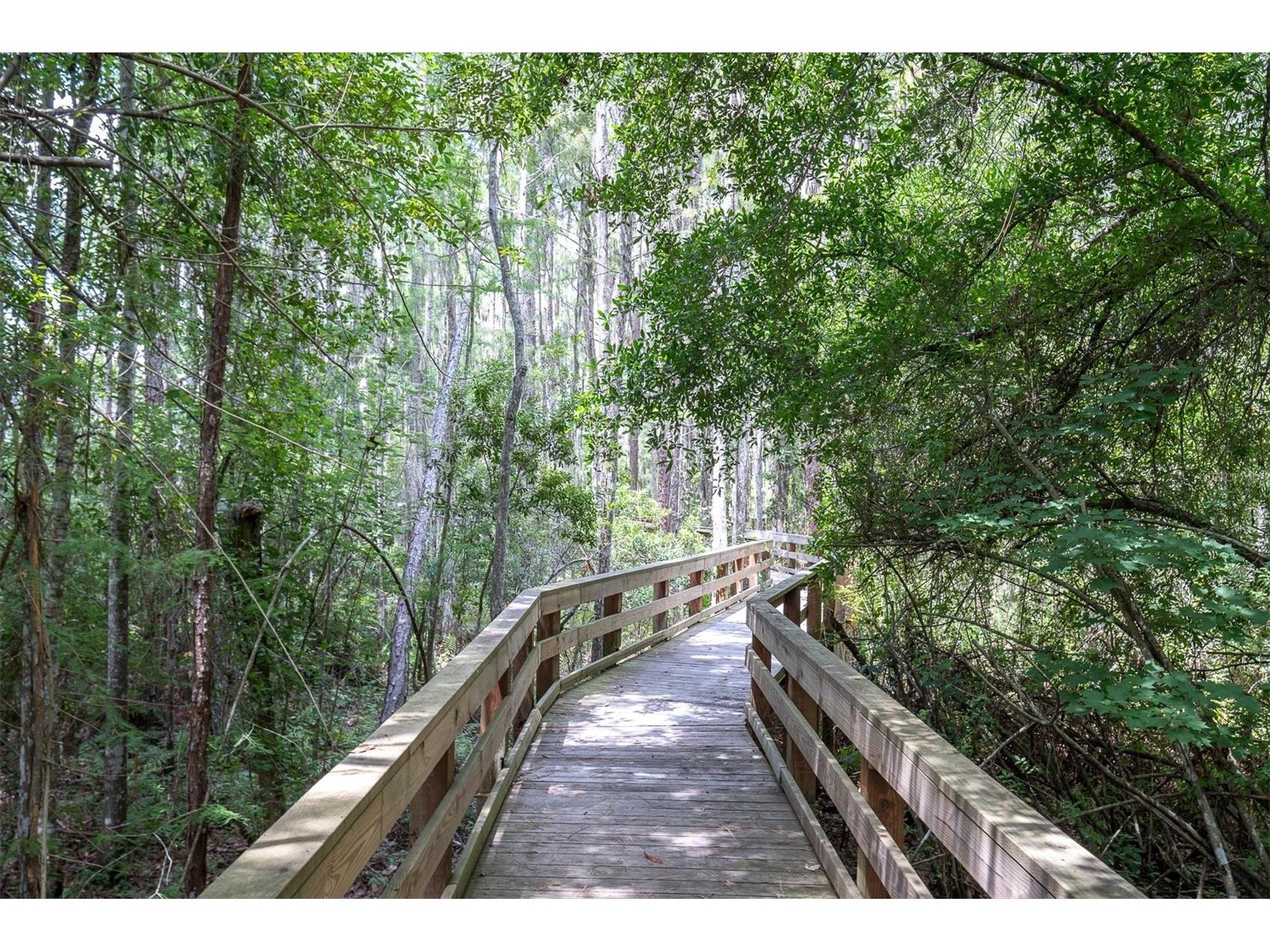 15223 Wind Whisper Drive Odessa FL 33556 W7885894 image57