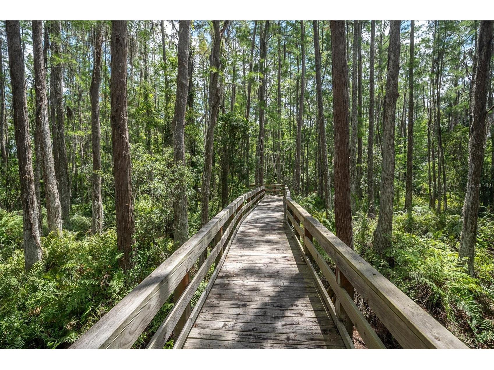 15223 Wind Whisper Drive Odessa FL 33556 W7885894 image58