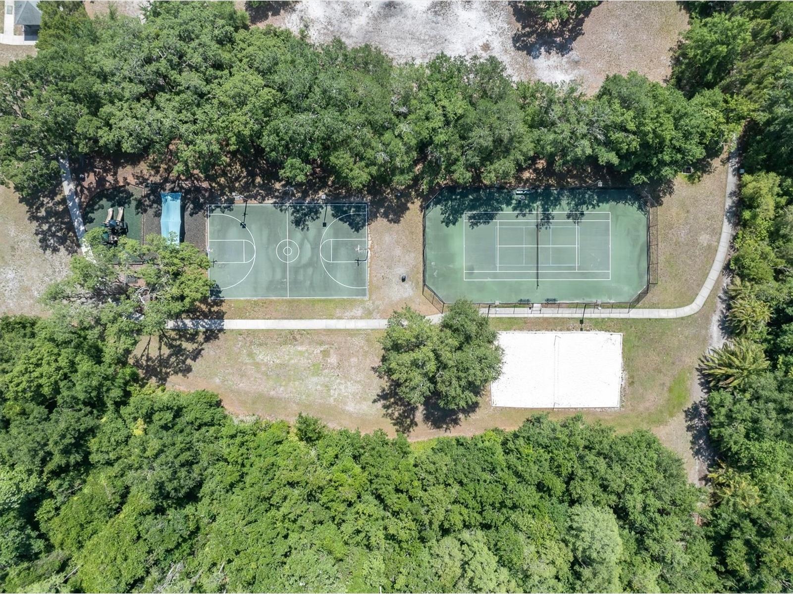 15223 Wind Whisper Drive Odessa FL 33556 W7885894 image59
