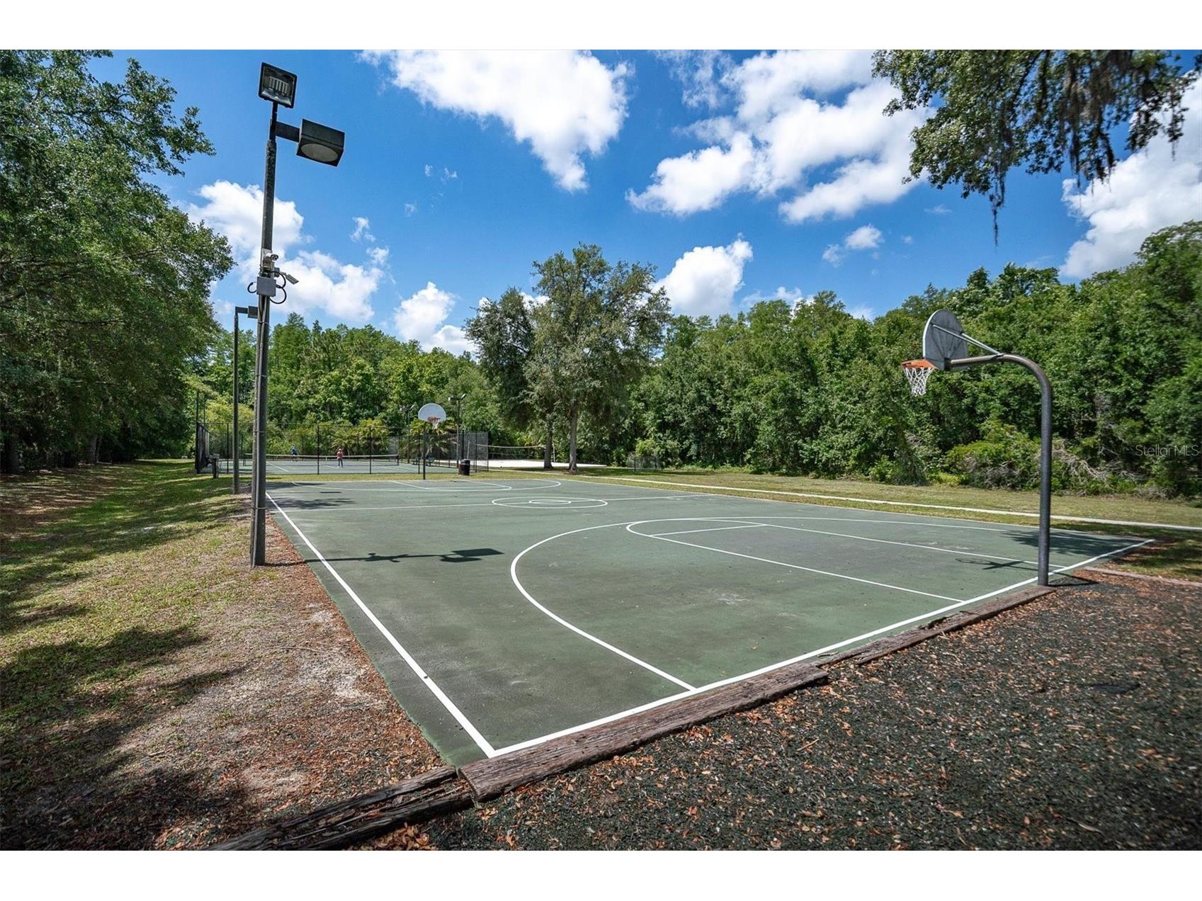 15223 Wind Whisper Drive Odessa FL 33556 W7885894 image60