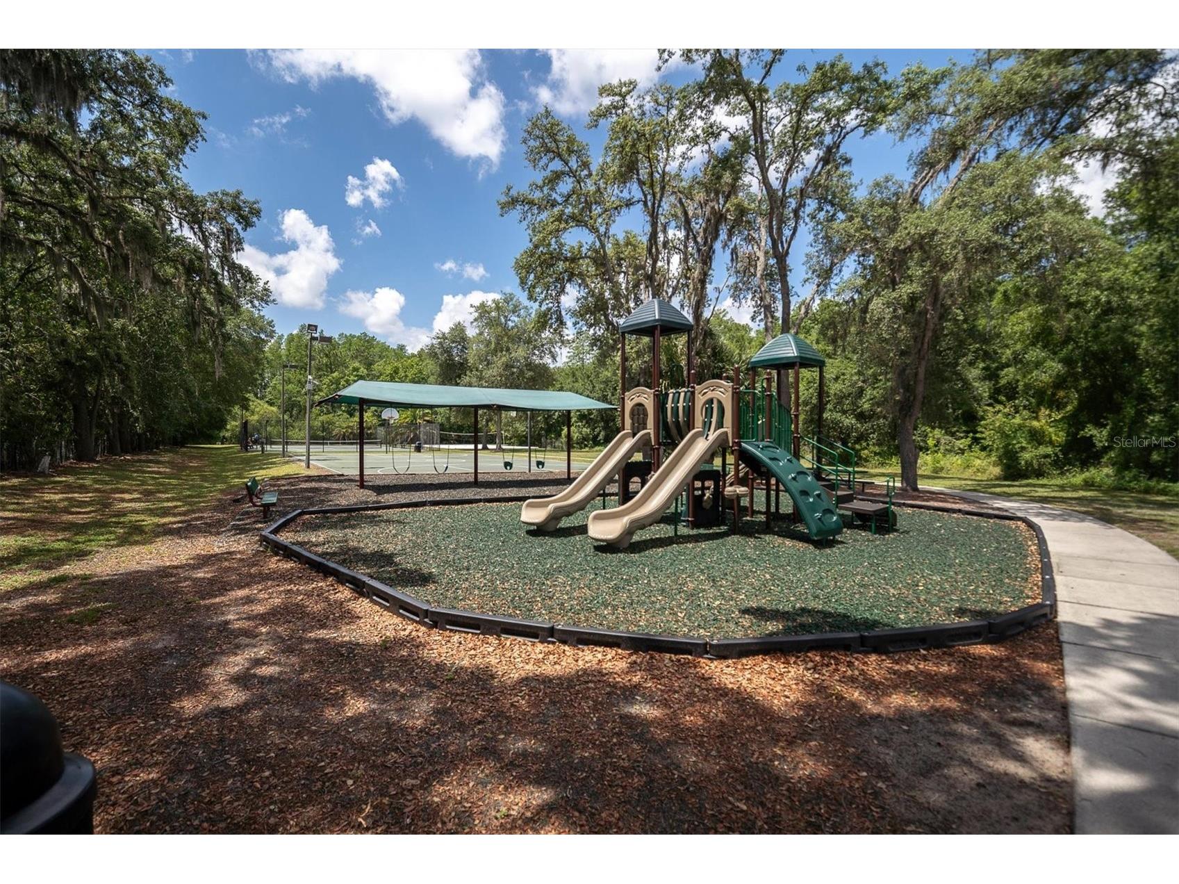 15223 Wind Whisper Drive Odessa FL 33556 W7885894 image62