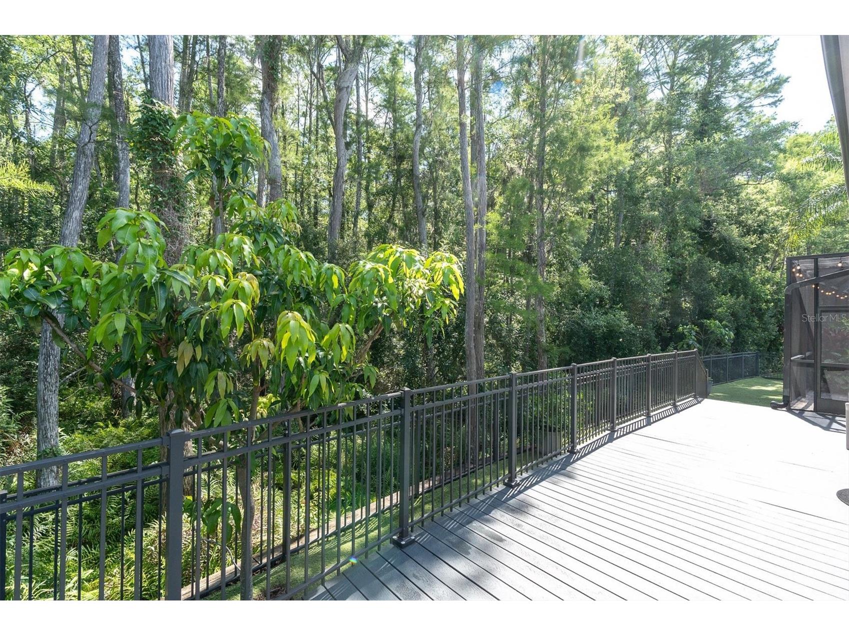 15223 Wind Whisper Drive Odessa FL 33556 W7885894 image63