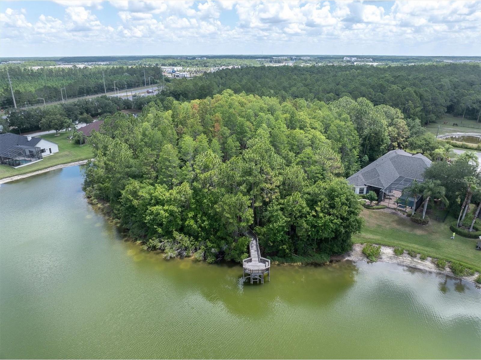 15223 Wind Whisper Drive Odessa FL 33556 W7885894 image76