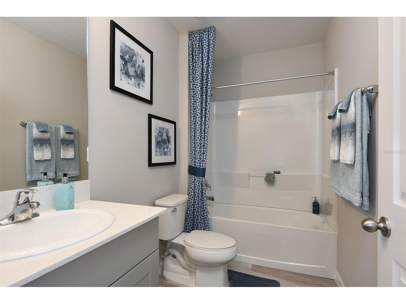 15224 Maude Landing Loop Wimauma FL 33598 TB8487720 image13