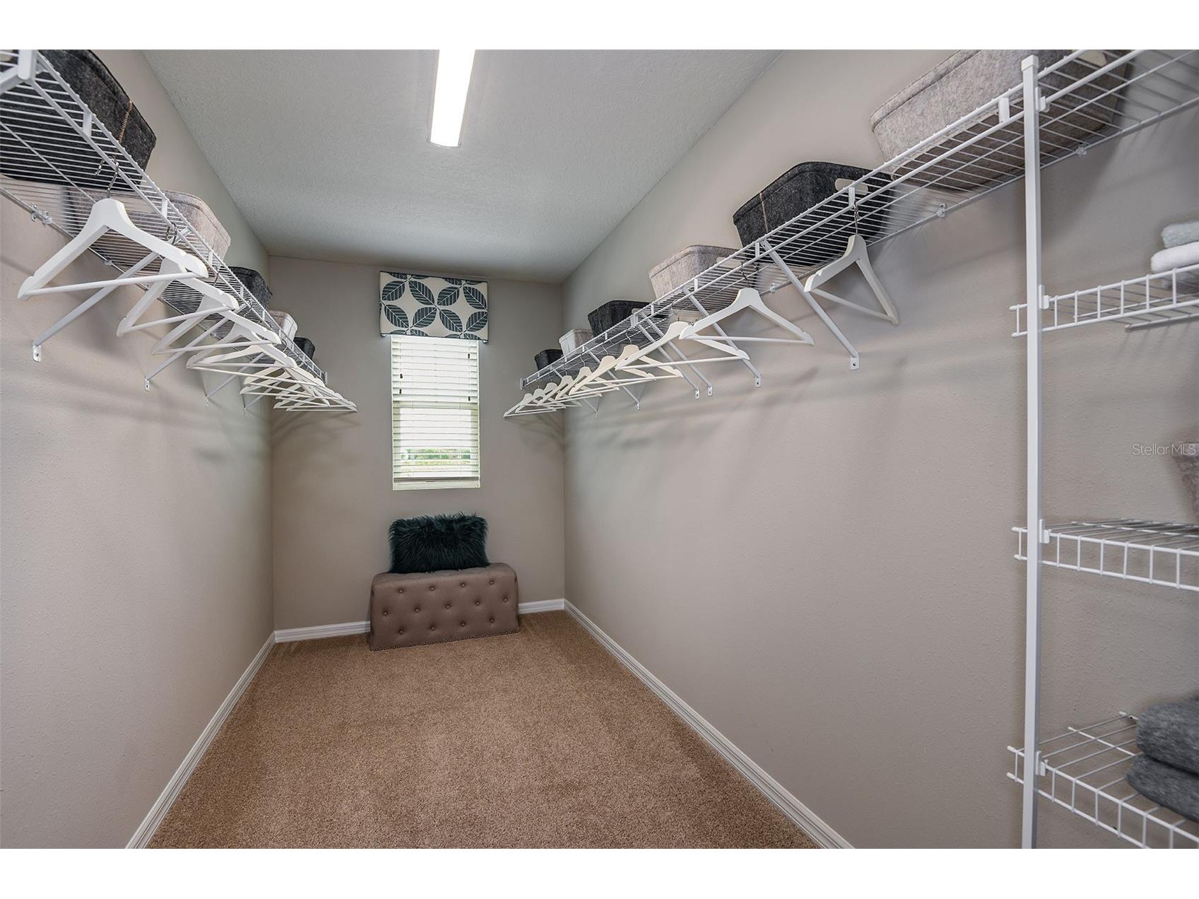 15224 Maude Landing Loop Wimauma FL 33598 TB8487720 image17