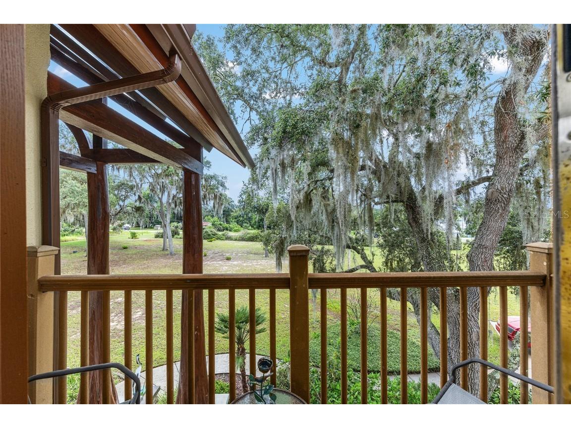 15225 NE 246th Avenue Salt Springs FL 32134 - LITTLE LAKE KERR OM706819 image70