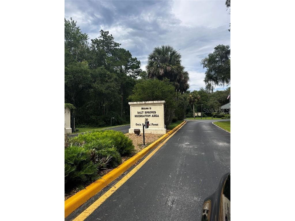 15225 NE 246th Avenue Salt Springs FL 32134 - LITTLE LAKE KERR OM706819 image88