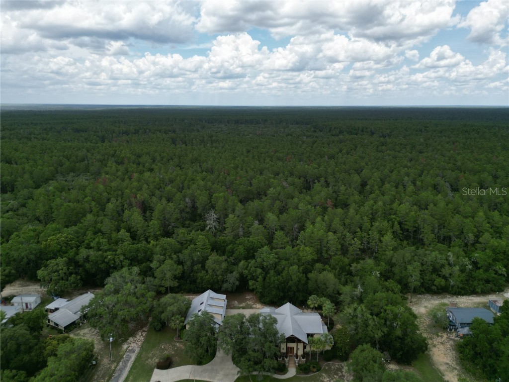 15225 NE 246th Avenue Salt Springs FL 32134 - LITTLE LAKE KERR OM712485 image51