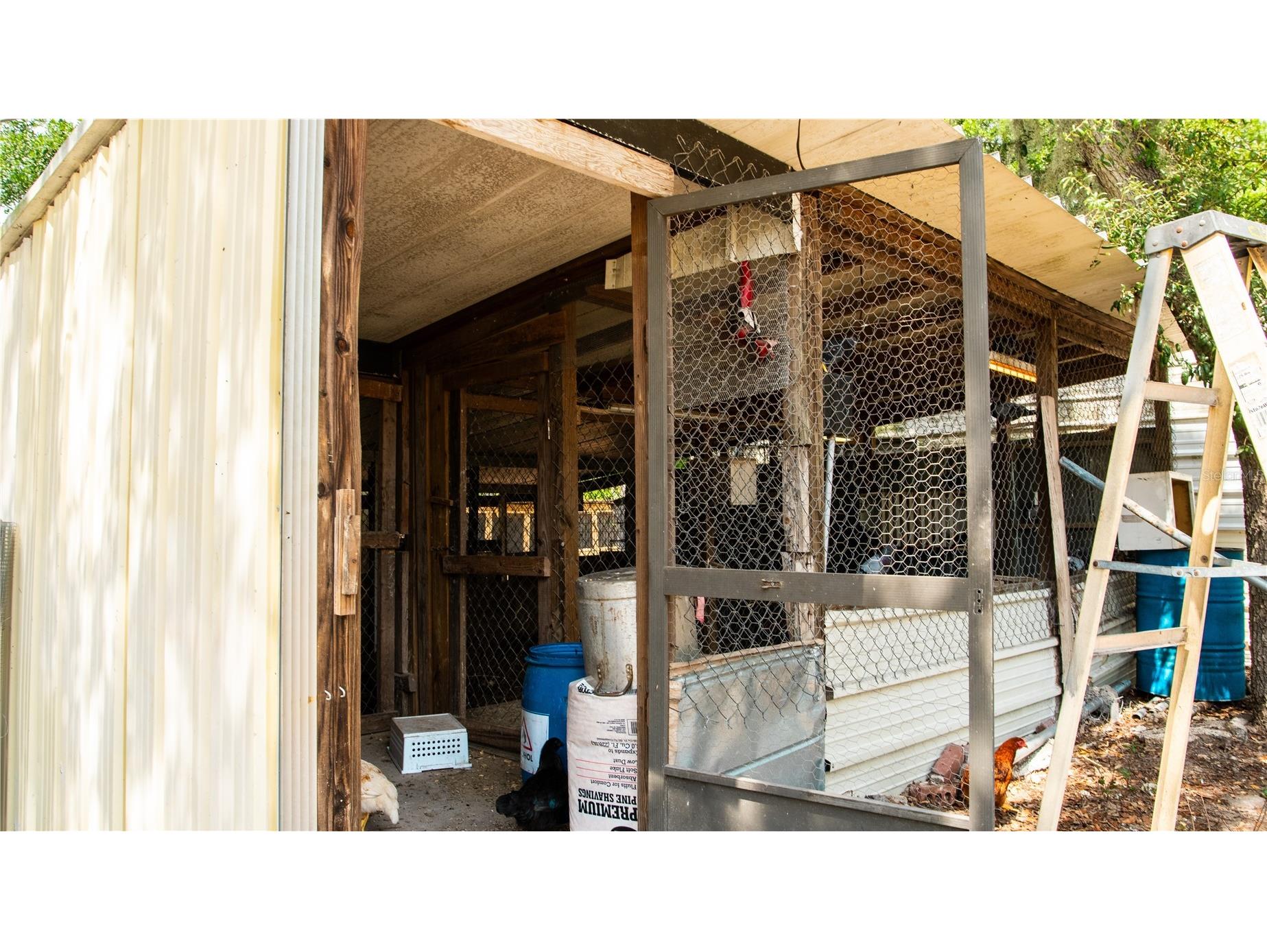 15229 N 13th Street Lutz FL 33549 TB8513666 image17
