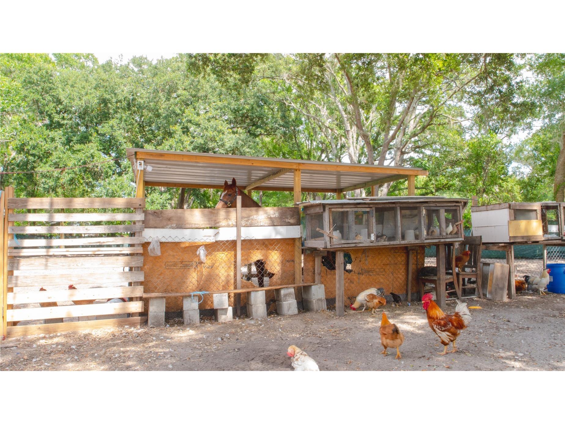 15229 N 13th Street Lutz FL 33549 TB8513666 image18