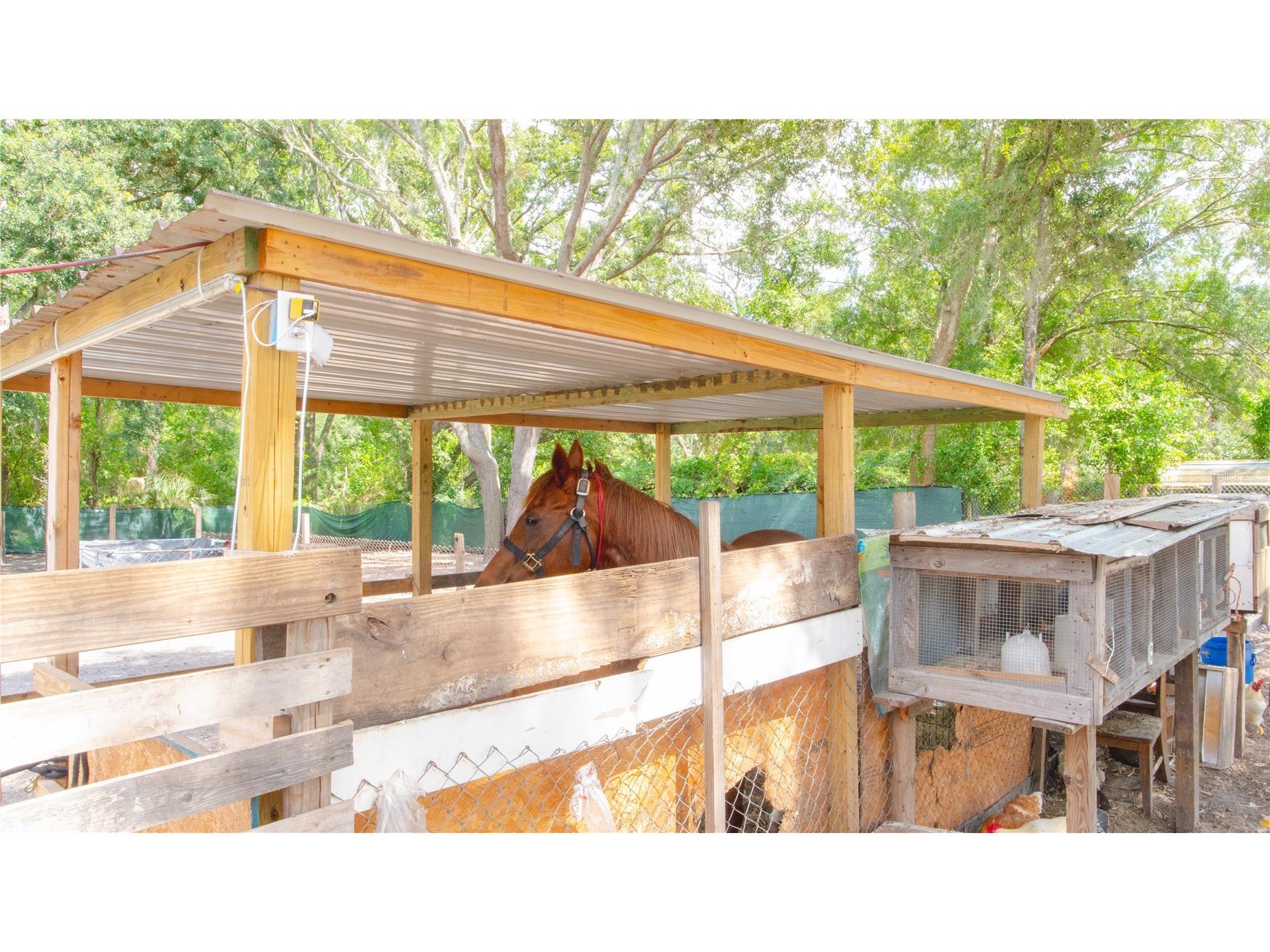 15229 N 13th Street Lutz FL 33549 TB8513666 image19