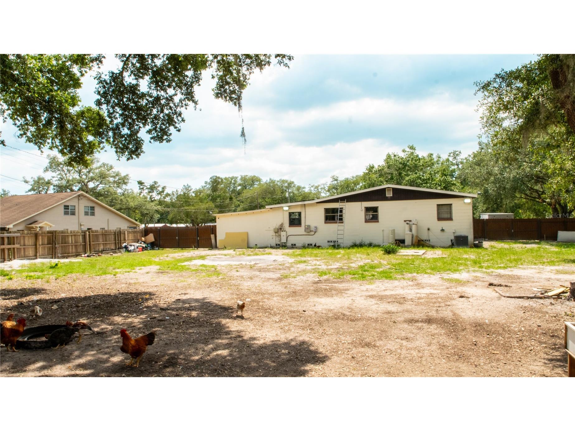 15229 N 13th Street Lutz FL 33549 TB8513666 image20