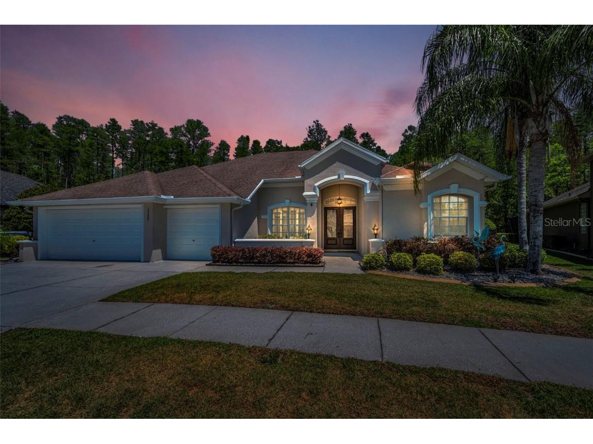 15229 Wind Whisper Dr Odessa FL 33556 TB8376110 image1