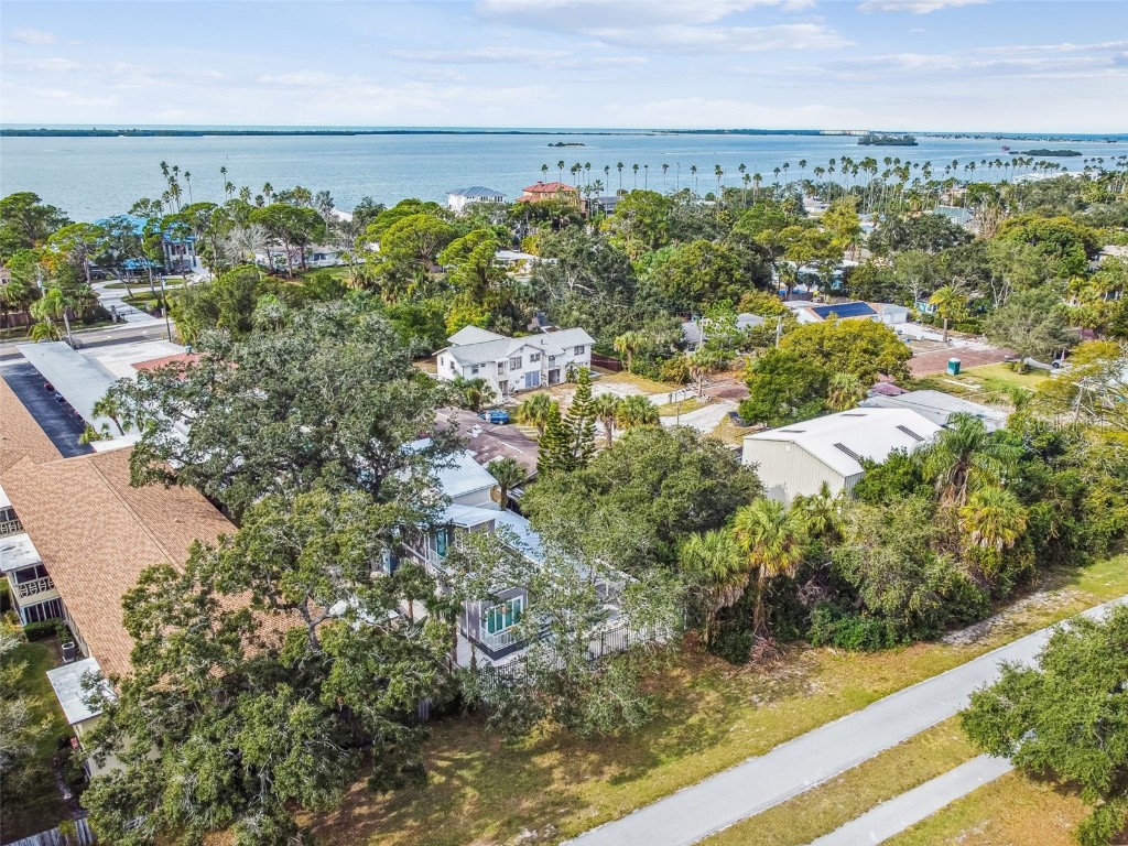 1523 Bayshore Boulevard #6 Dunedin FL 34698 U8216932 image44