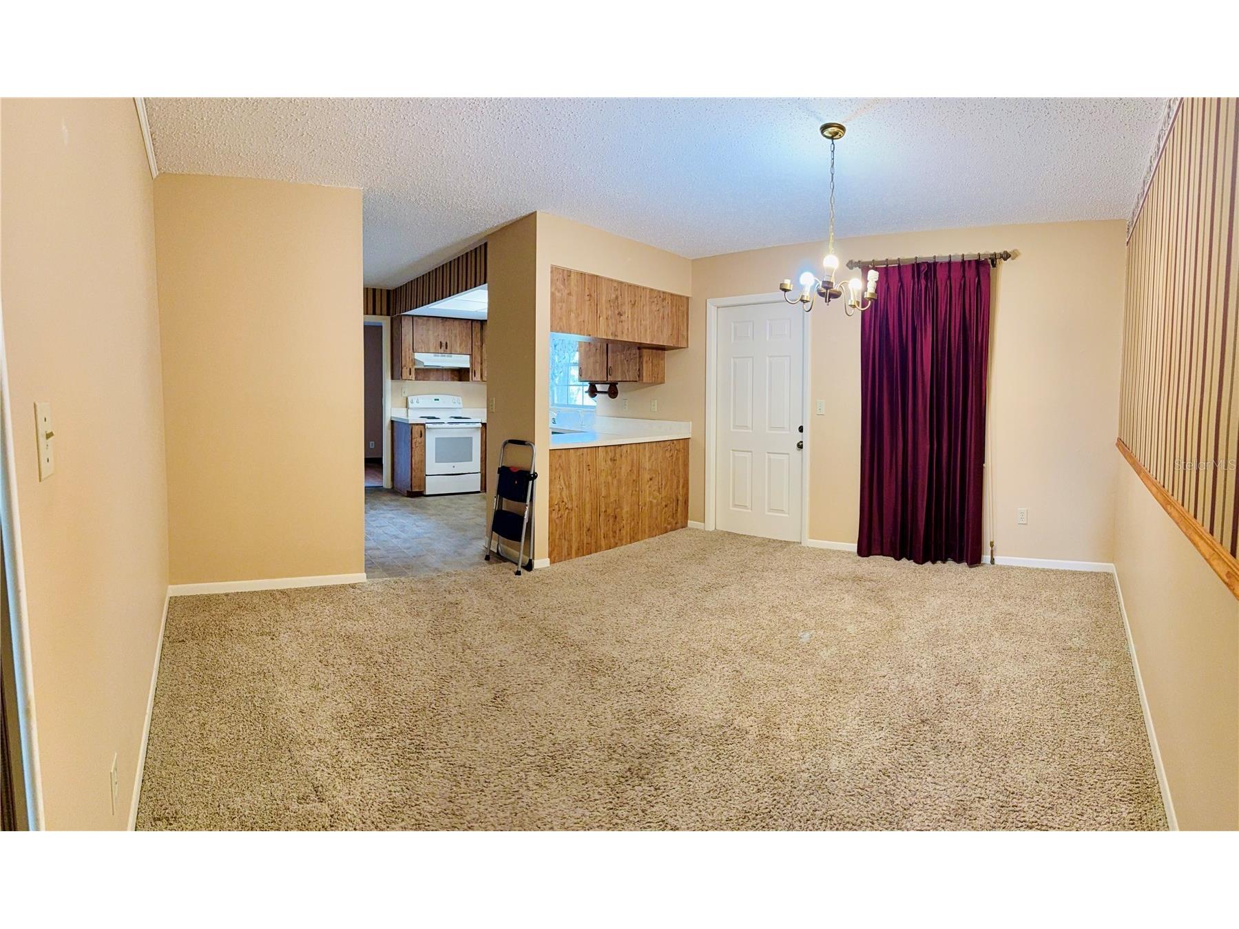 1523 Brangus Drive Lakeland FL 33810 A4682114 image5