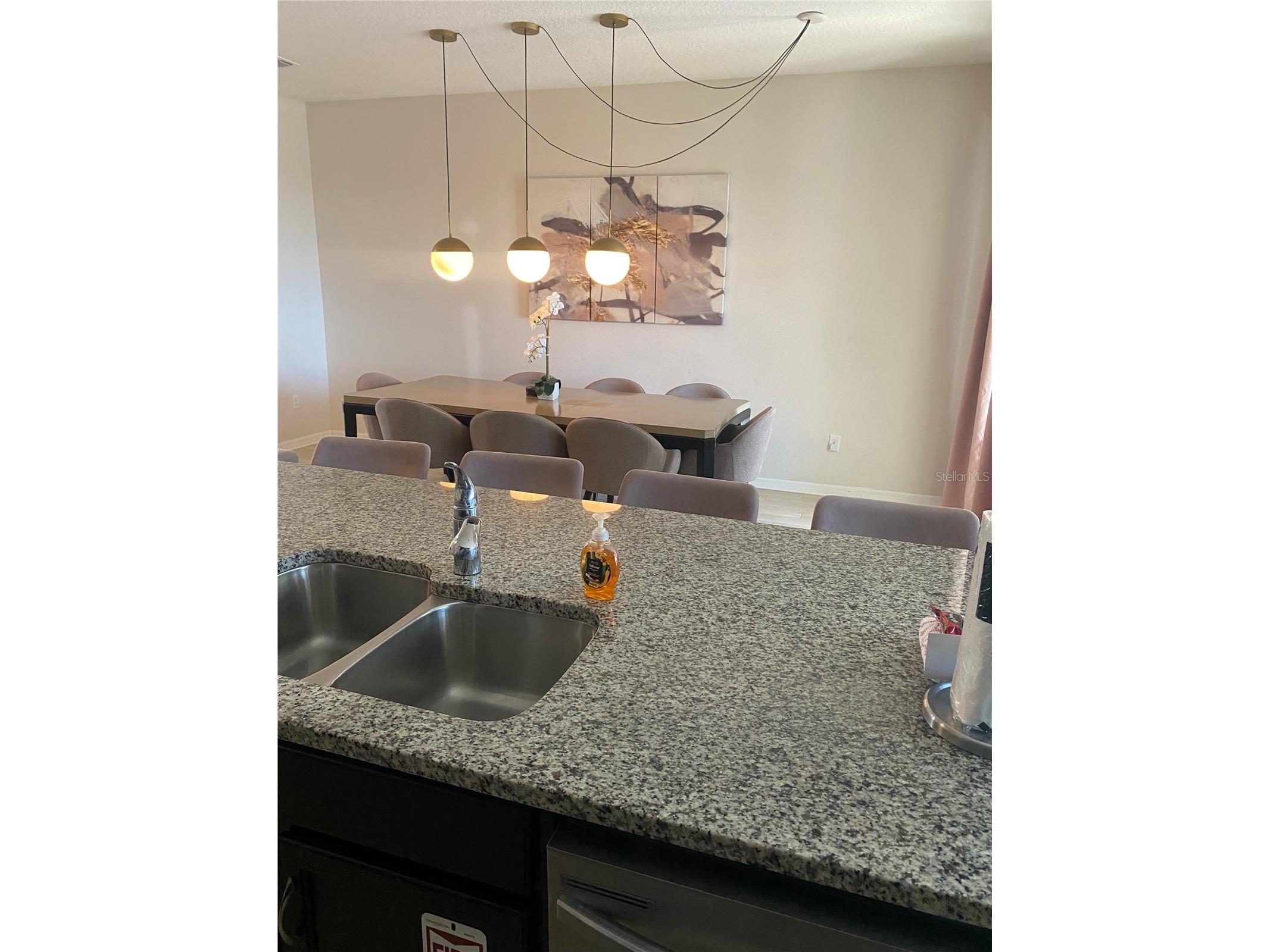 1523 Carey Palm Circle Kissimmee FL 34747 R4910717 image17