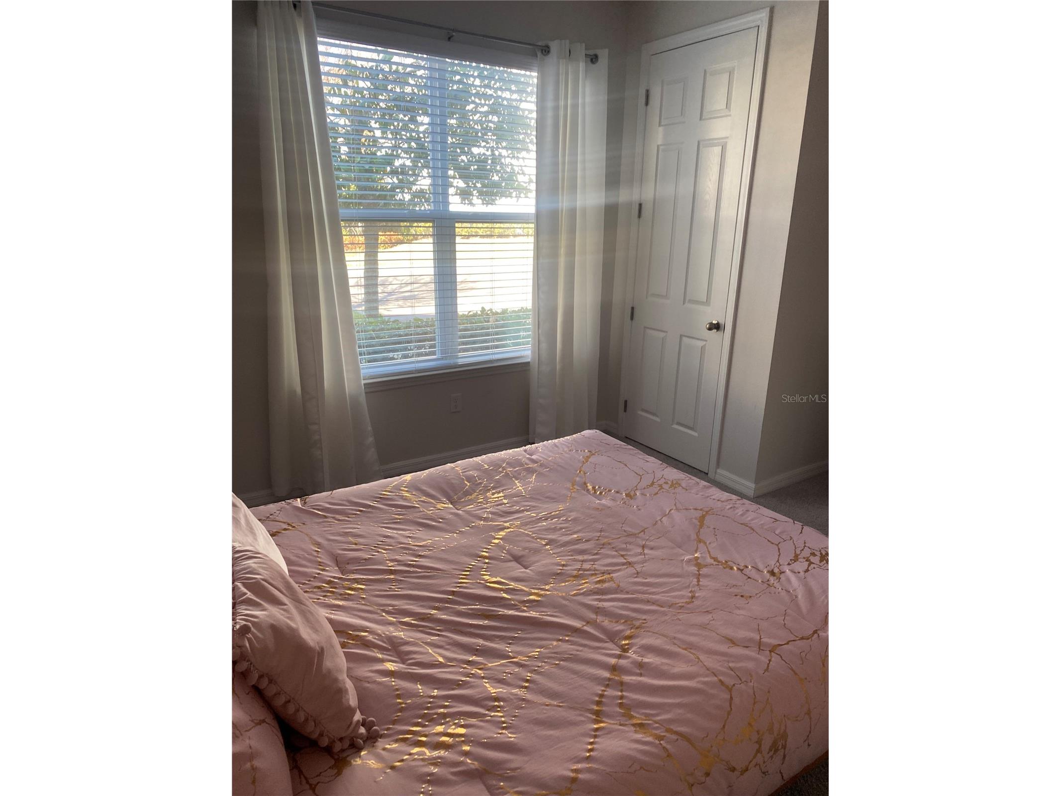 1523 Carey Palm Circle Kissimmee FL 34747 R4910717 image3