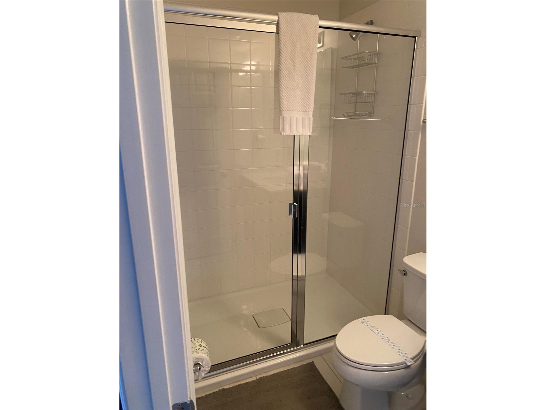 1523 Carey Palm Circle Kissimmee FL 34747 R4910717 image31