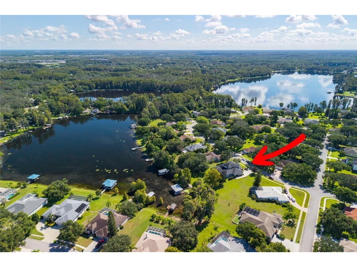 1523 Fishing Lake Drive Odessa FL 33556 - LAKE ANN TB8433629 image11