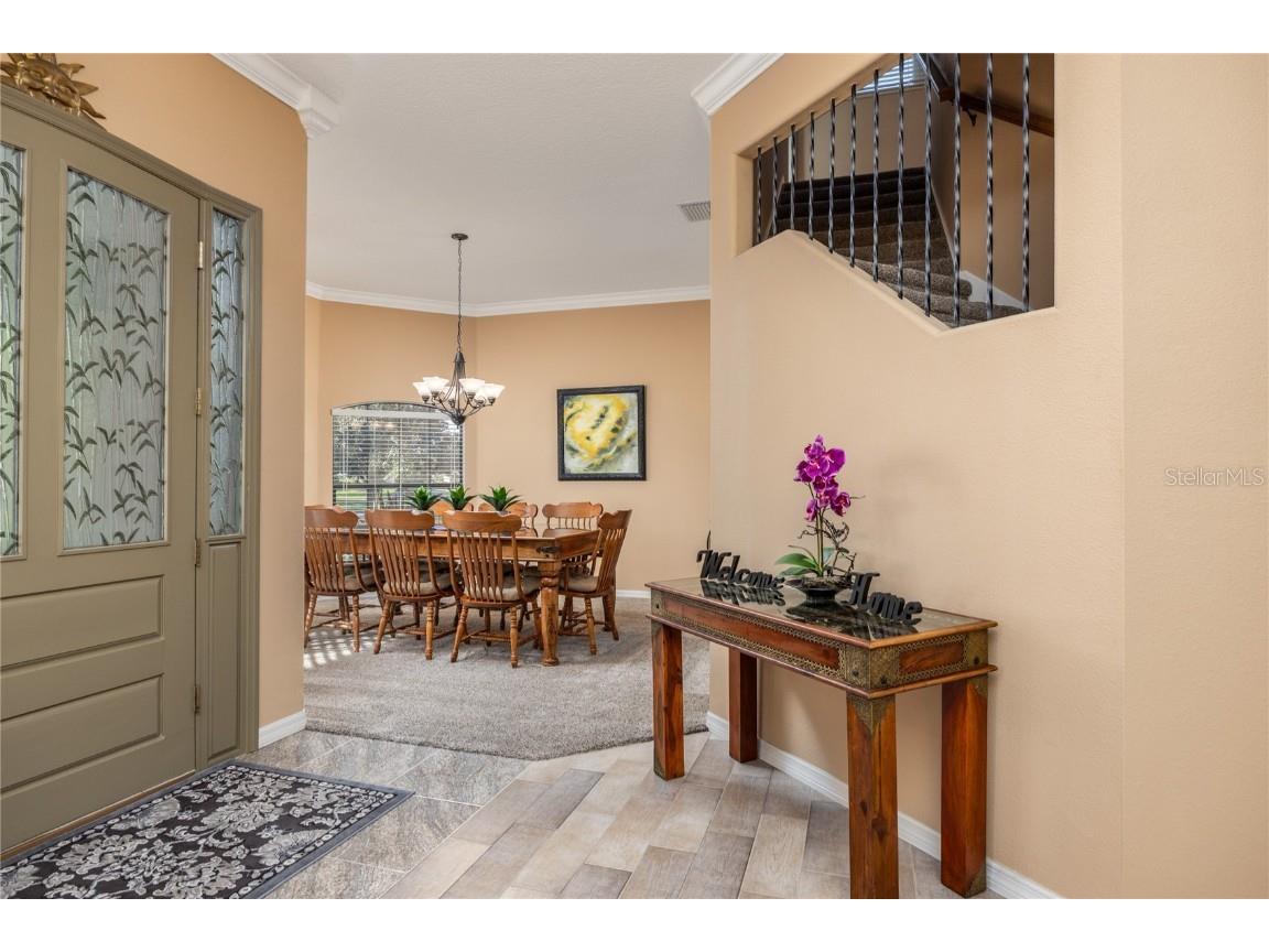 1523 Fishing Lake Drive Odessa FL 33556 - LAKE ANN TB8433629 image15