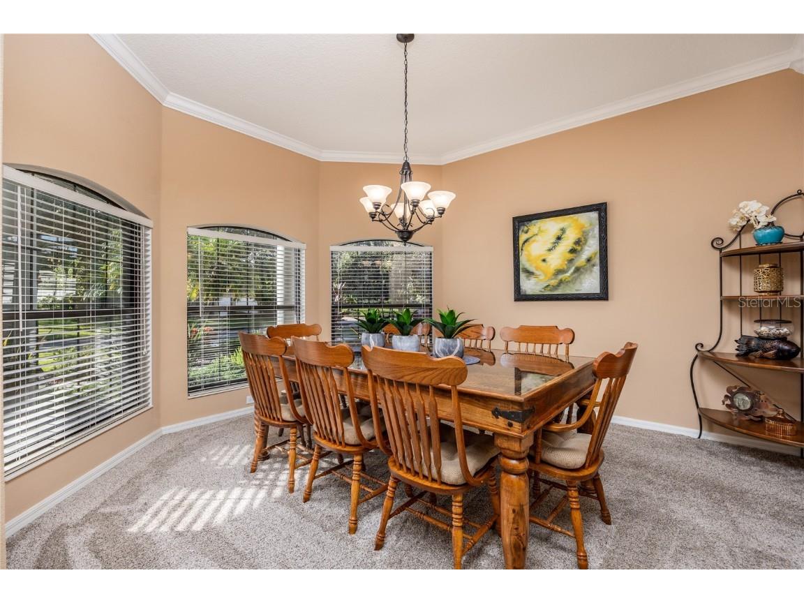 1523 Fishing Lake Drive Odessa FL 33556 - LAKE ANN TB8433629 image16