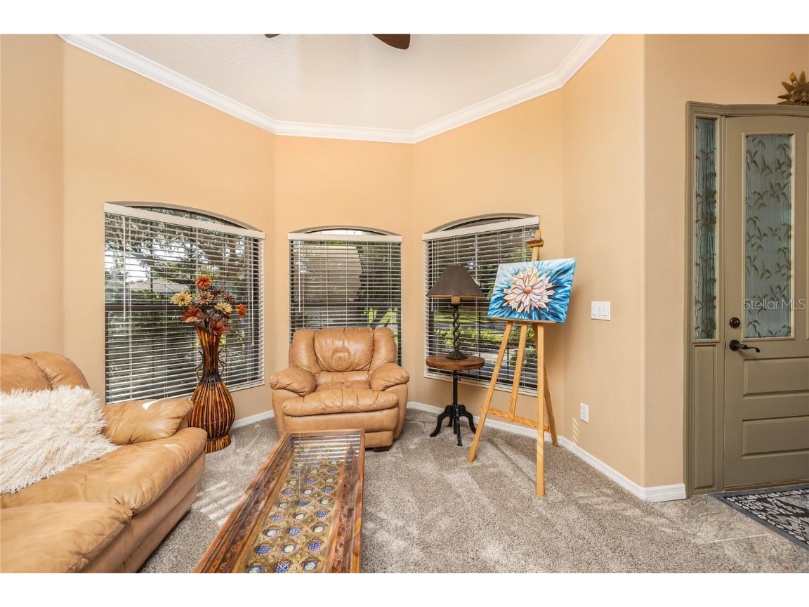 1523 Fishing Lake Drive Odessa FL 33556 - LAKE ANN TB8433629 image17